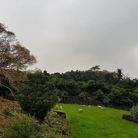 Barrocas Do Mar * Prainha (Sao Roque do Pico)