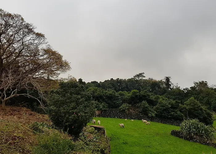 Barrocas Do Mar * Prainha (Sao Roque do Pico)